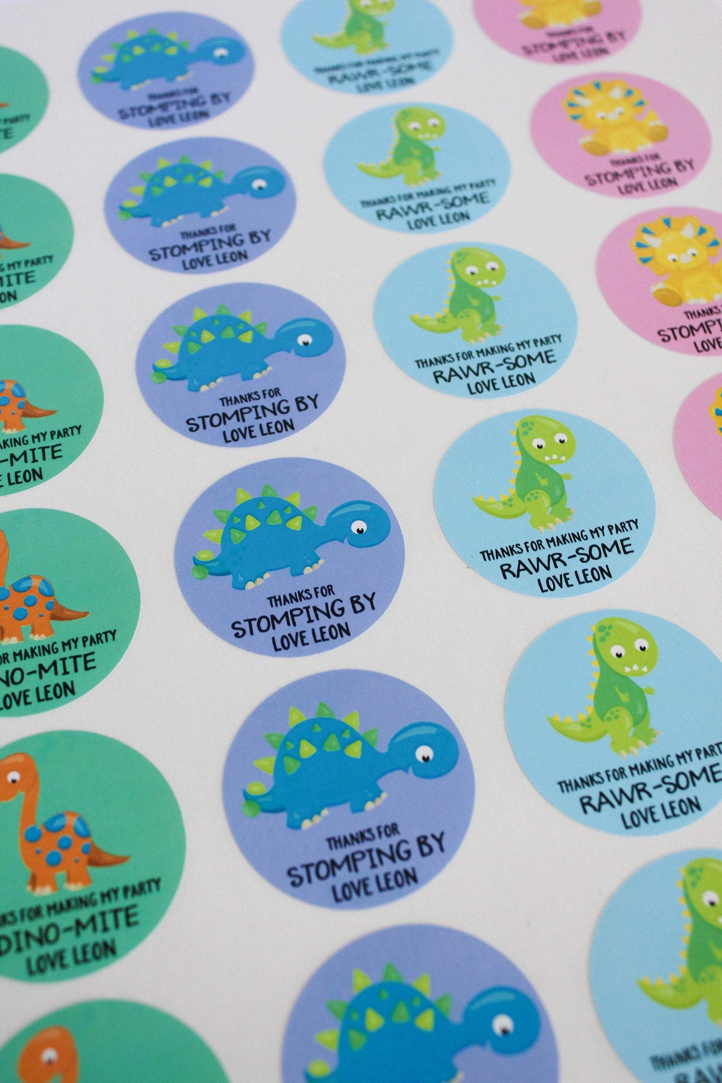 E&L Designs Colourful Dinosaur Birthday Theme Stickers