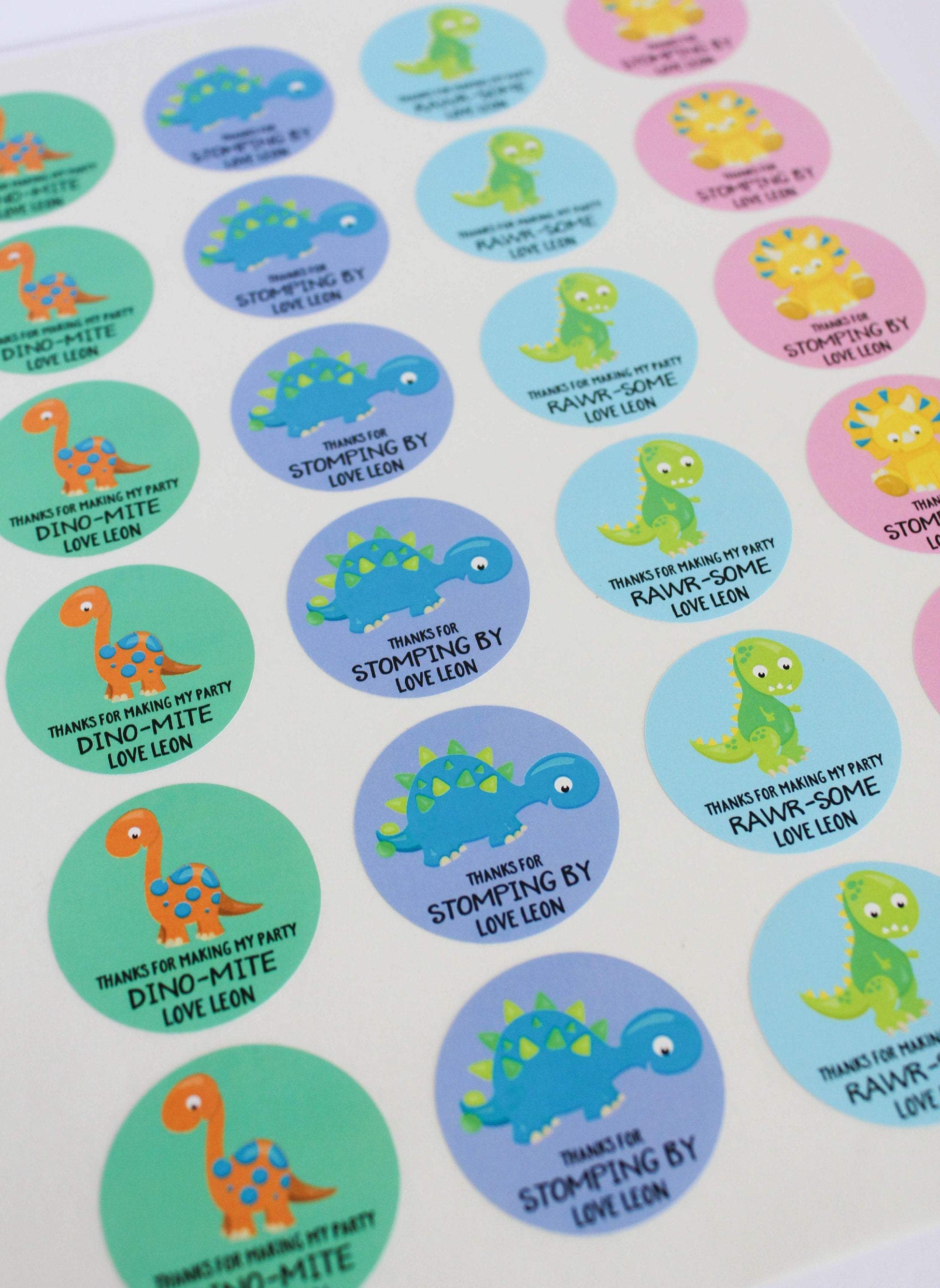 E&L Designs Colourful Dinosaur Birthday Theme Stickers