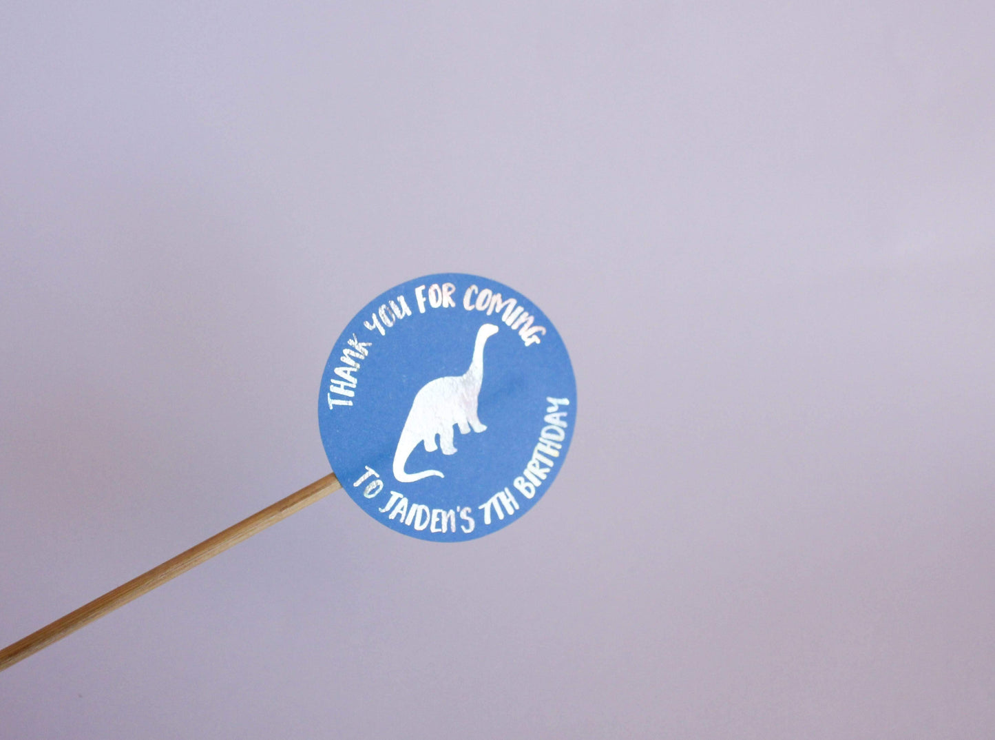 E&L Designs Dinosaur Personalised Foil Stickers | Dinosaur Theme