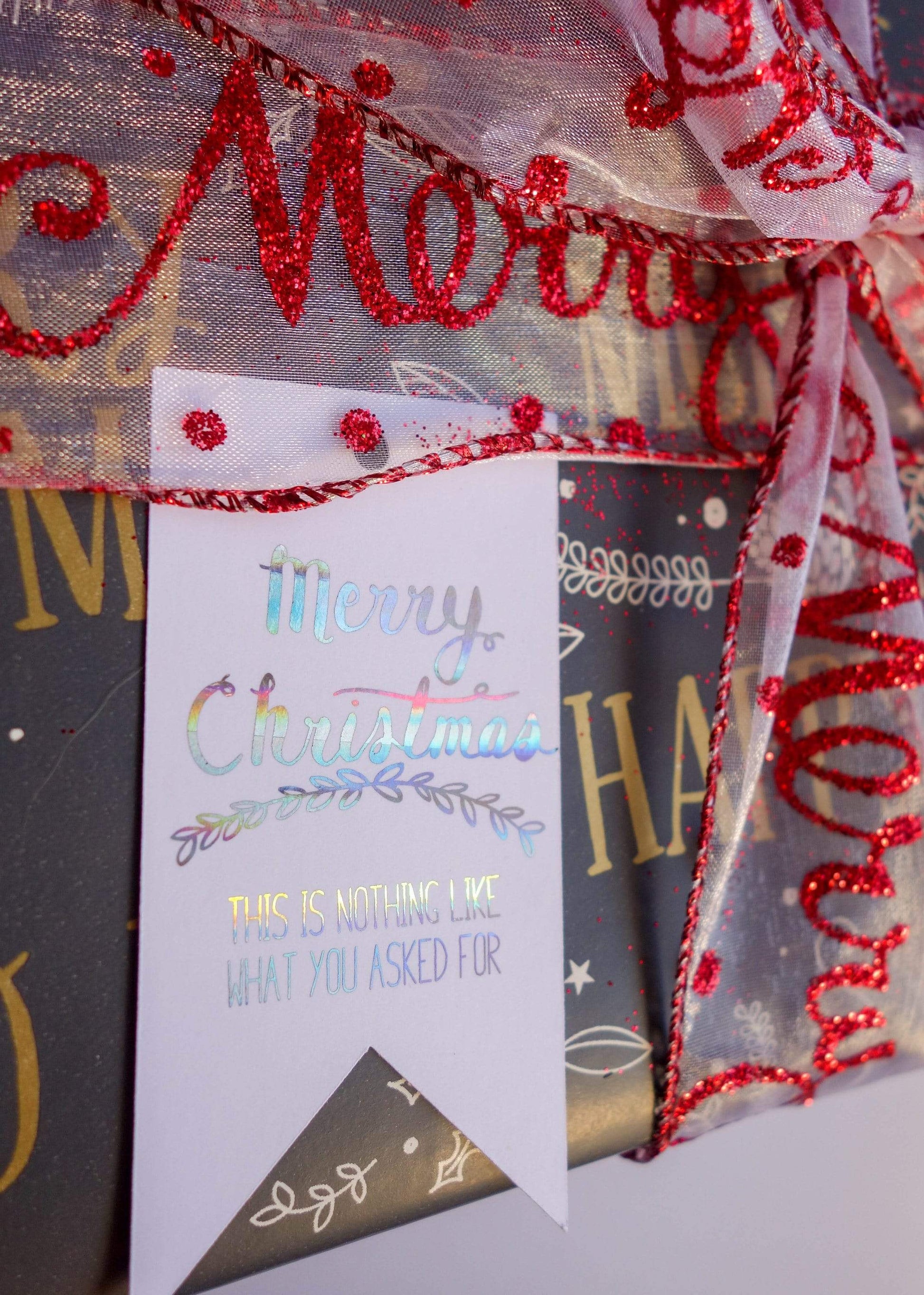 E&L Designs Funny Christmas Gift Tags -  Pack of 12