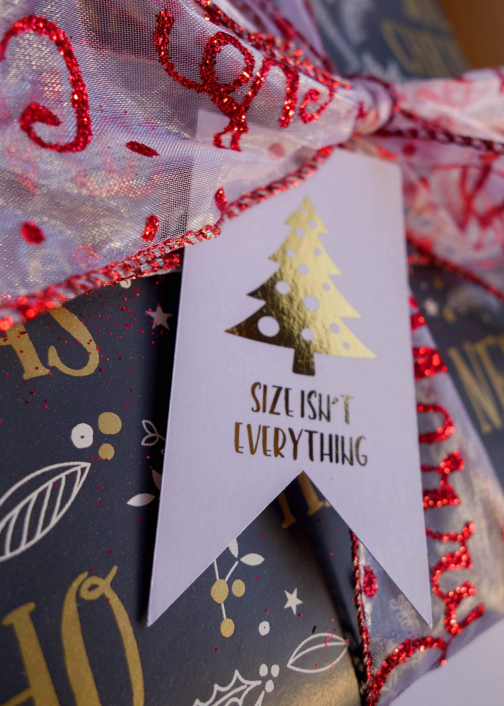 E&L Designs Funny Christmas Gift Tags -  Pack of 12