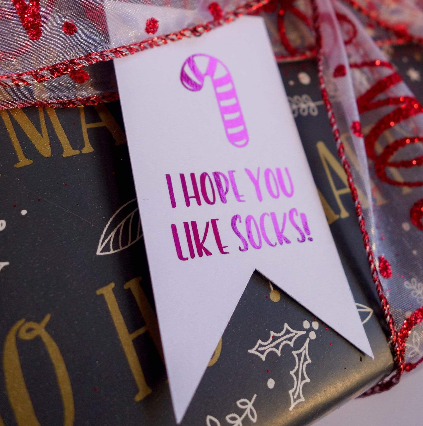 E&L Designs Funny Christmas Gift Tags -  Pack of 12